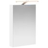 vidaXL Badkamer spiegelkast Wit 40 x 10,5 x 60,5 cm Bewerkt hout