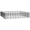 vidaXL Hondenkennel 92,16 m&sup2; staal