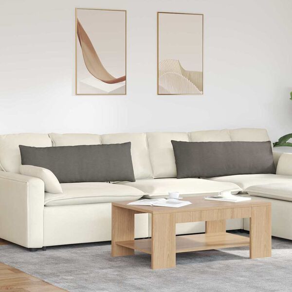 vidaXL Sofa Kussens 2 stuks Lichtgrijs 120 x 40 cm Cordstof