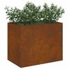 vidaXL Tuin Bloempot Cortenstaal 50 x 32 x 40 cm Cortenstaal