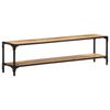 vidaXL Tv-meubel 150x30x40 cm massief mangohout