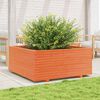 vidaXL Plantenbak 110x110x49,5 cm massief grenenhout wasbruin