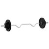 vidaXL Halter met gewichten 60 kg gietijzer en verchroomd staal