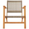 vidaXL Tuinstoelen 2 st poly rattan en acaciahout beige