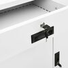 Miniatuurafbeelding van het product 9 van 12