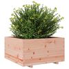 vidaXL Plantenbak 90x90x49,5 cm massief douglashout