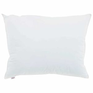 vidaXL Hoofdkussen met kussen 2 pcs Wit 40 x 60 cm Katoen