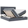 vidaXL Bed met LED-stripverlichting Donkergrijs 180 x 200 cm Fluweel