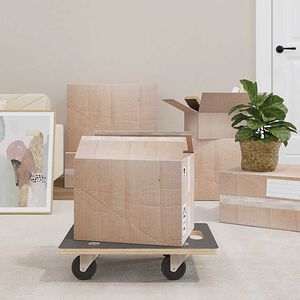 vidaXL Meubelhondjes 2 st rechthoekig 250 kg 50x35x11,5 cm