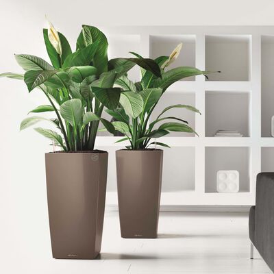 LECHUZA Plantenbak Cubico 40 ALL-IN-ONE hoogglans taupe 18215