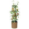 Miniatuurafbeelding van het product 3 van 6
