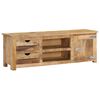 vidaXL Tv-meubel 120x30x40 cm massief mangohout