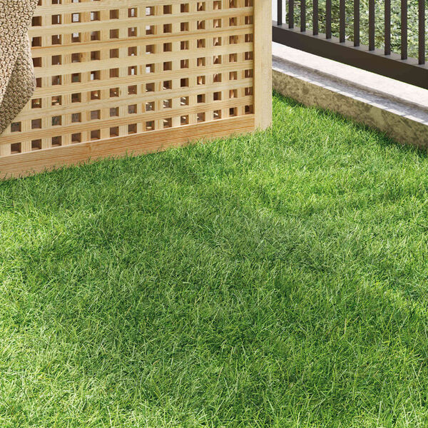 Productafbeelding 3 van 10