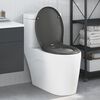 vidaXL Snelle Ontgrendel Toiletzitting Antraciet 44.8 x 37.3 x 4.2 cm