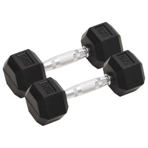 vidaXL Halters 2 st 5 kg totaal gietijzer