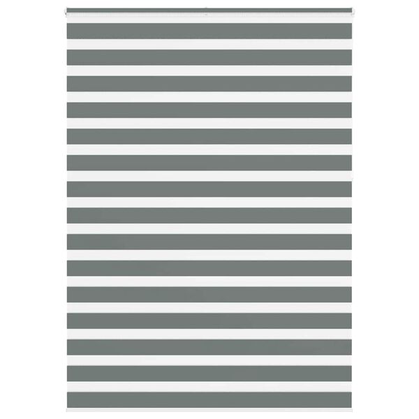vidaXL Zebra rolgordijn 165x230 cm stofbreedte 160,9 cm donkergrijs