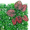 Miniatuurafbeelding van het product 6 van 8