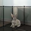 Miniatuurafbeelding van het product 3 van 10