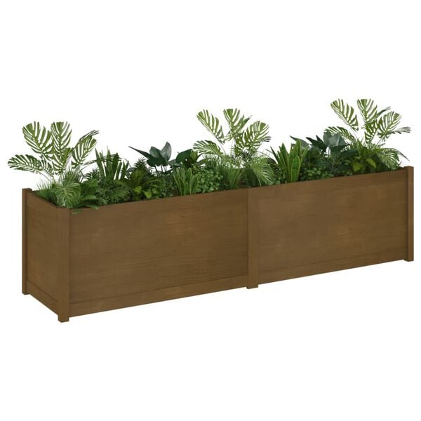 vidaXL Plantenbak 200x50x50 cm massief grenenhout honingbruin