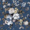 Blue_and_brown