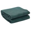 vidaXL Tenttapijt Groen 300 x 200 cm Polyester