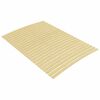 vidaXL Lattenbodem met 24 latten 120x200 cm