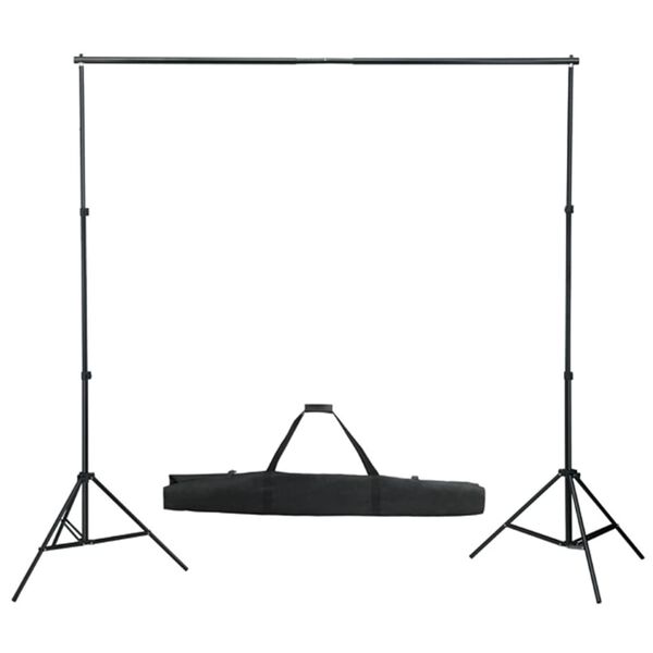 vidaXL Fotostudioset met lampen, achtergrond en reflector