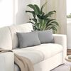 vidaXL Sofa Kussens 2 stuks Grijs 50 x 30 cm Stof