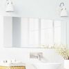 vidaXL Wandspiegel Rechthoekig 40 x 100 cm gehard glas