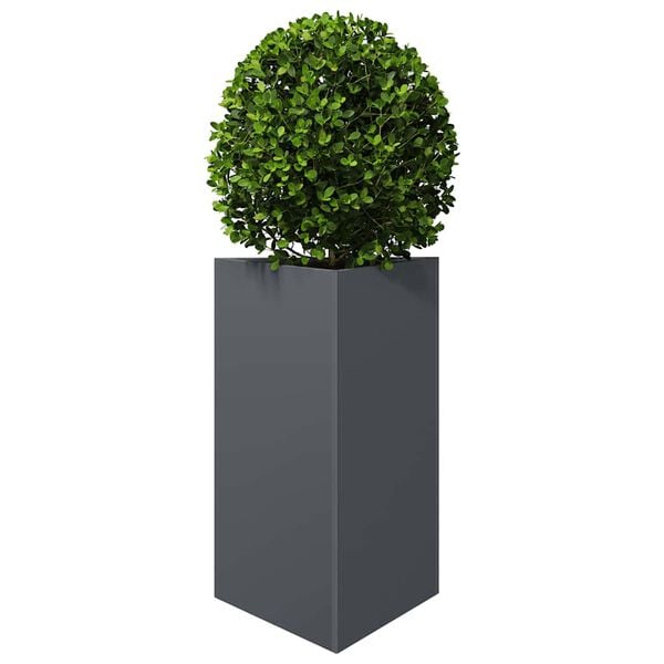 Productafbeelding 3 van 10