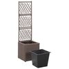 vidaXL Latwerkplantenbak verhoogd met 1 pot 30x30x107 cm rattan bruin