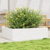 vidaXL Plantenbak 90x60x23 cm massief grenenhout wit