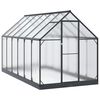 vidaXL Tuin Serre met de deur Antracietkleurig 183,5 x 363,5 x 207 cm