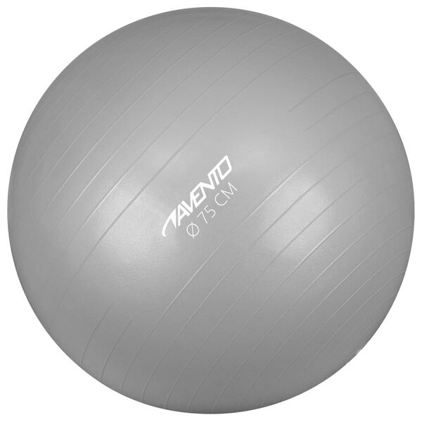 Avento Fitnessbal 75 cm zilverkleurig