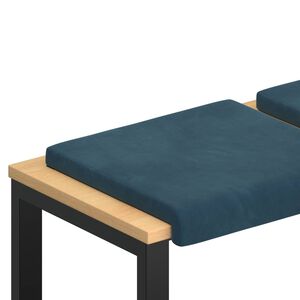 vidaXL Bankkussen 2 st fluweel Blauw Diepte 35 cm
