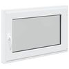 vidaXL Kelderraam RISOR 90 x 50 cm PVC en glas Wit
