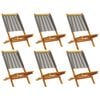 vidaXL Klapstoelen 6 stuks Grijs Massief Acaciahout