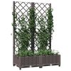 Miniatuurafbeelding van het product 7 van 7
