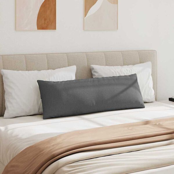 vidaXL Sofa Kussens 2 stuks Donkergrijs 120 x 40 cm Stof