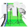 vidaXL Fotostudioverlichtingsset