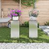 vidaXL Plantenstandaard 2 pcs Zilver 24 x 24 x 55 cm