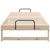vidaXL Bedframe Bruin 80 x 220 cm Massief grenenhout