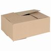 vidaXL Vouwdoos met opslag 50 st Naturel 25 x 17,5 x 10 cm Karton