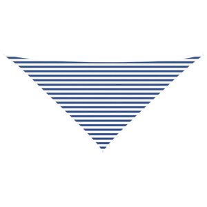 vidaXL Zonneschaduwzeil Blauw en Wit 4 x 4 x 5,8 m