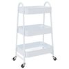 vidaXL Opbergtrolley 3-laags 42x41,5x77 cm staal wit