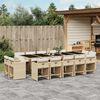 vidaXL 15-delige Tuinset met kussens poly rattan beige