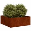 vidaXL Plantenbak roestig 80x80x30 cm weervast staal