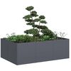 vidaXL Plantenbak 120x80x40 cm staal antracietkleurig