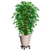 Miniatuurafbeelding van het product 2 van 7