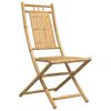 vidaXL Tuinstoelen 2 st inklapbaar 46x66x99 bamboe